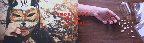 индика Абинск